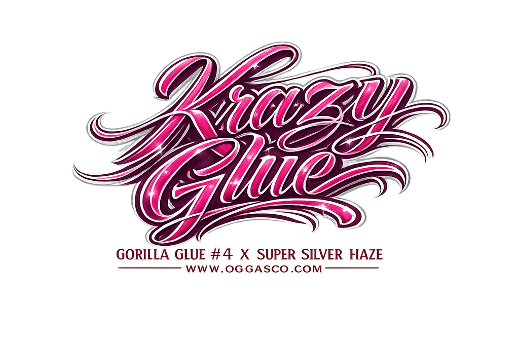 *EXCLUSIVE INDOOR* KRAZY GLUE