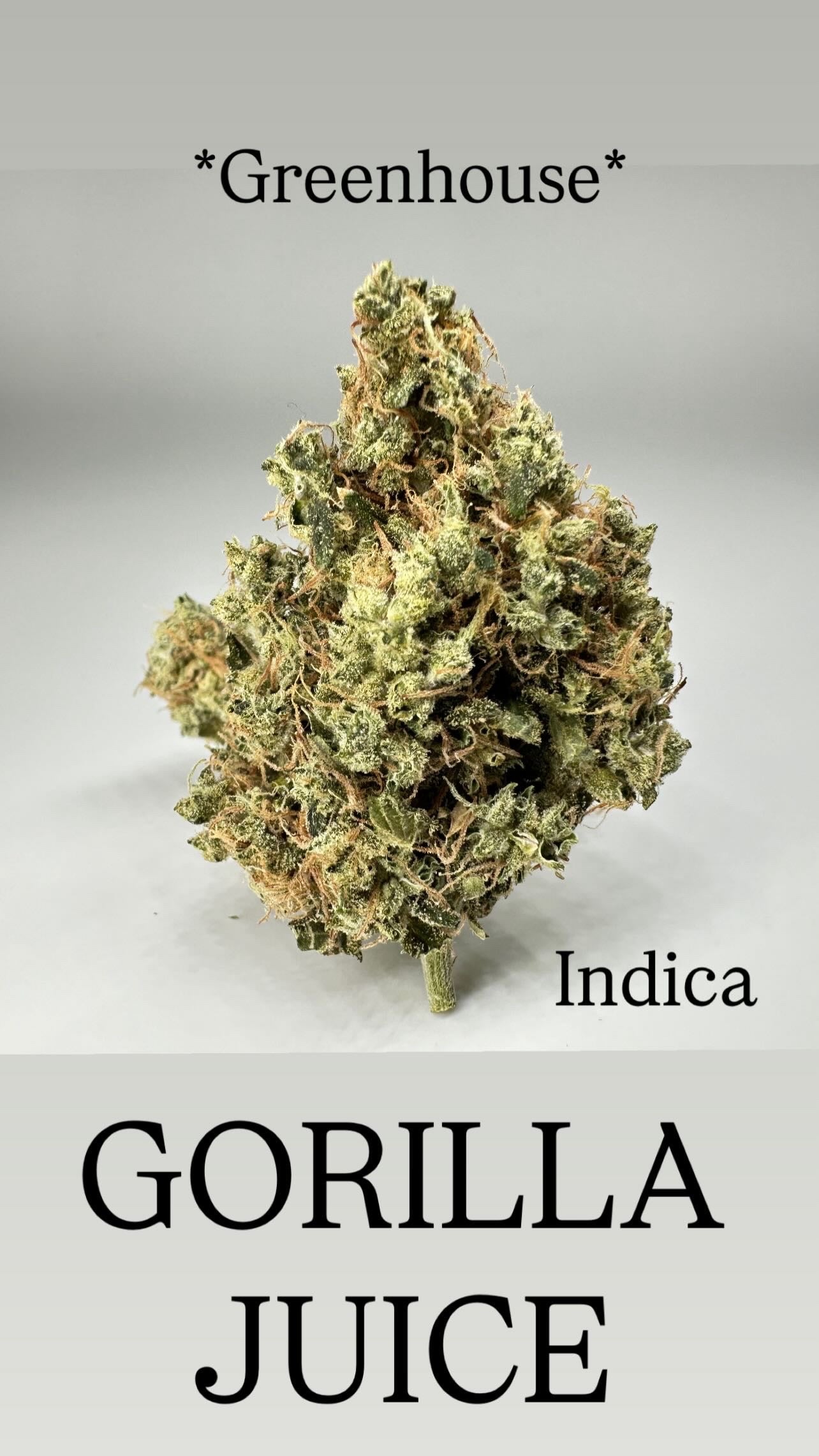 *Greenhouse* GORILLA JUICE