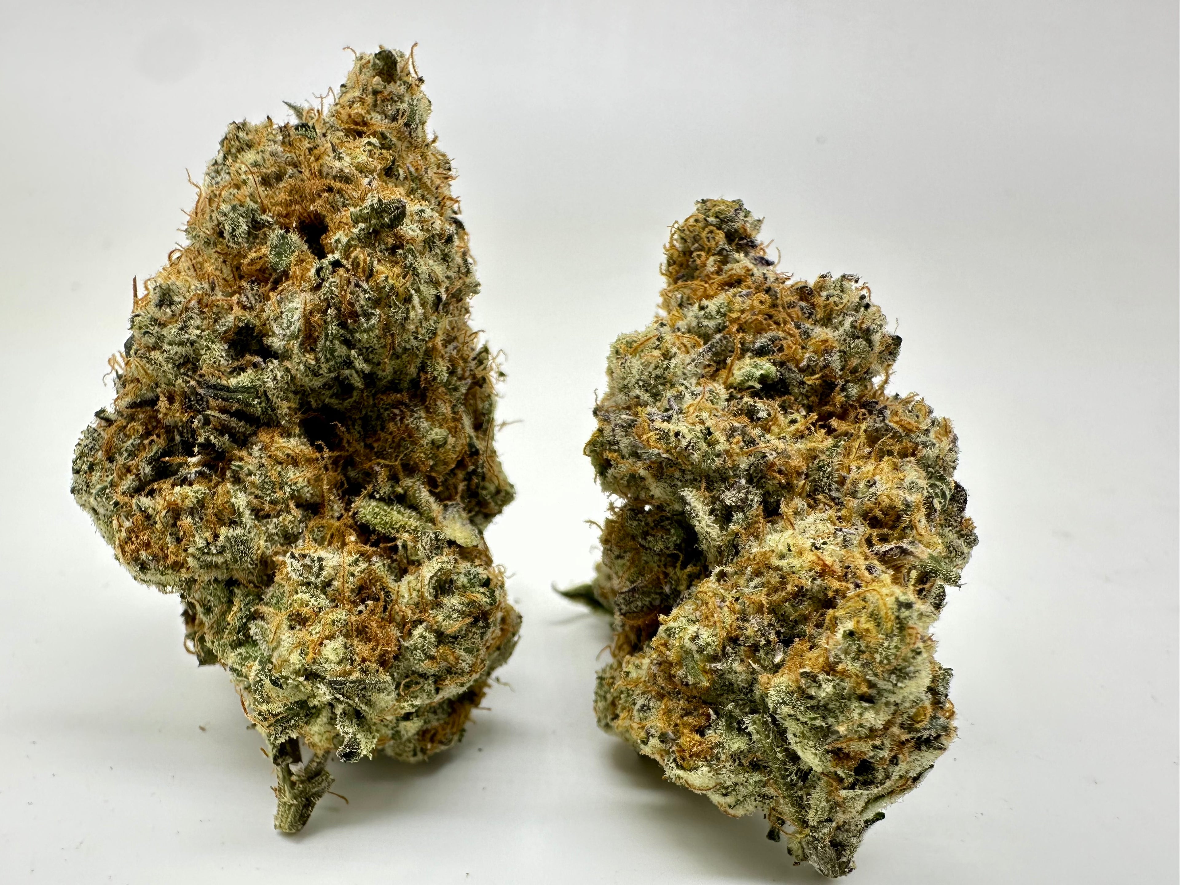 *Exclusive Indoor* DeadHead OG