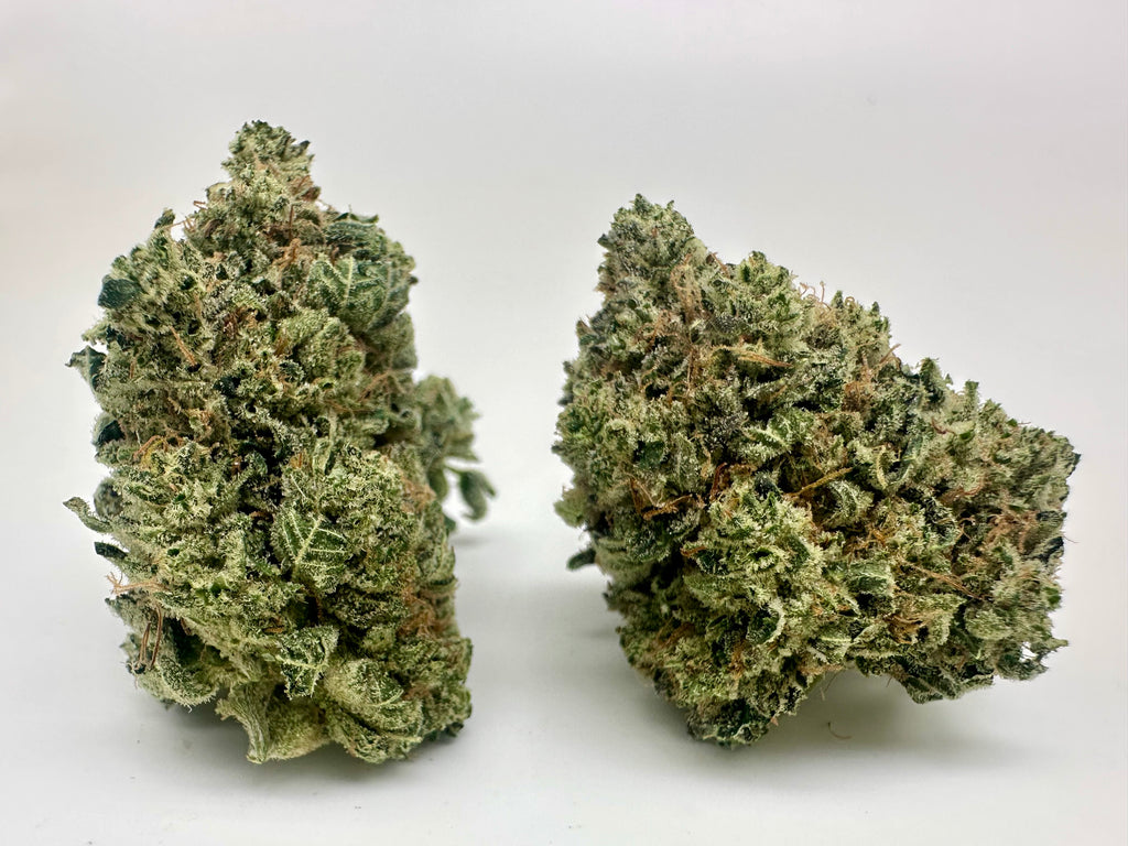 *EXCLUSIVE INDOOR* KRAZY GLUE