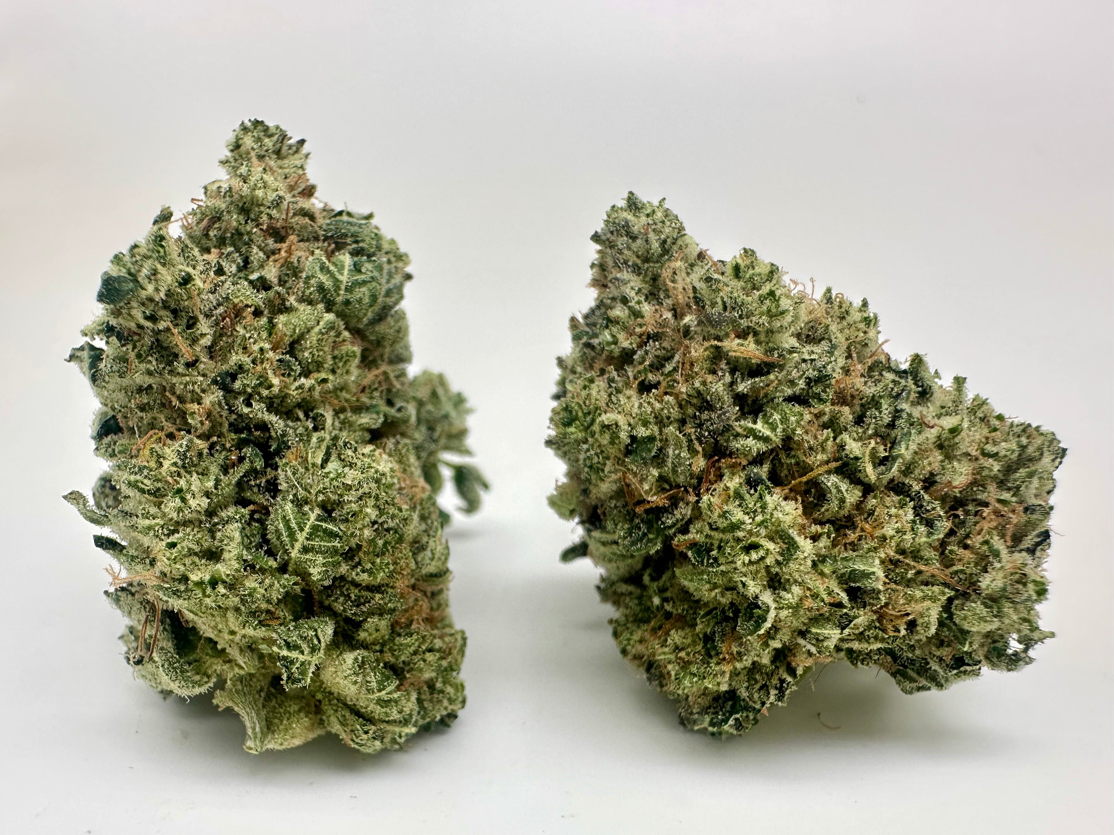 *EXCLUSIVE INDOOR* KRAZY GLUE