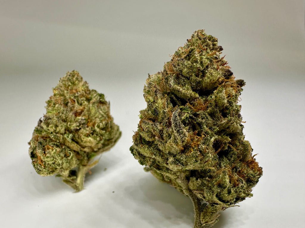 *Indoor* Strawberry Banana (Hybrid)