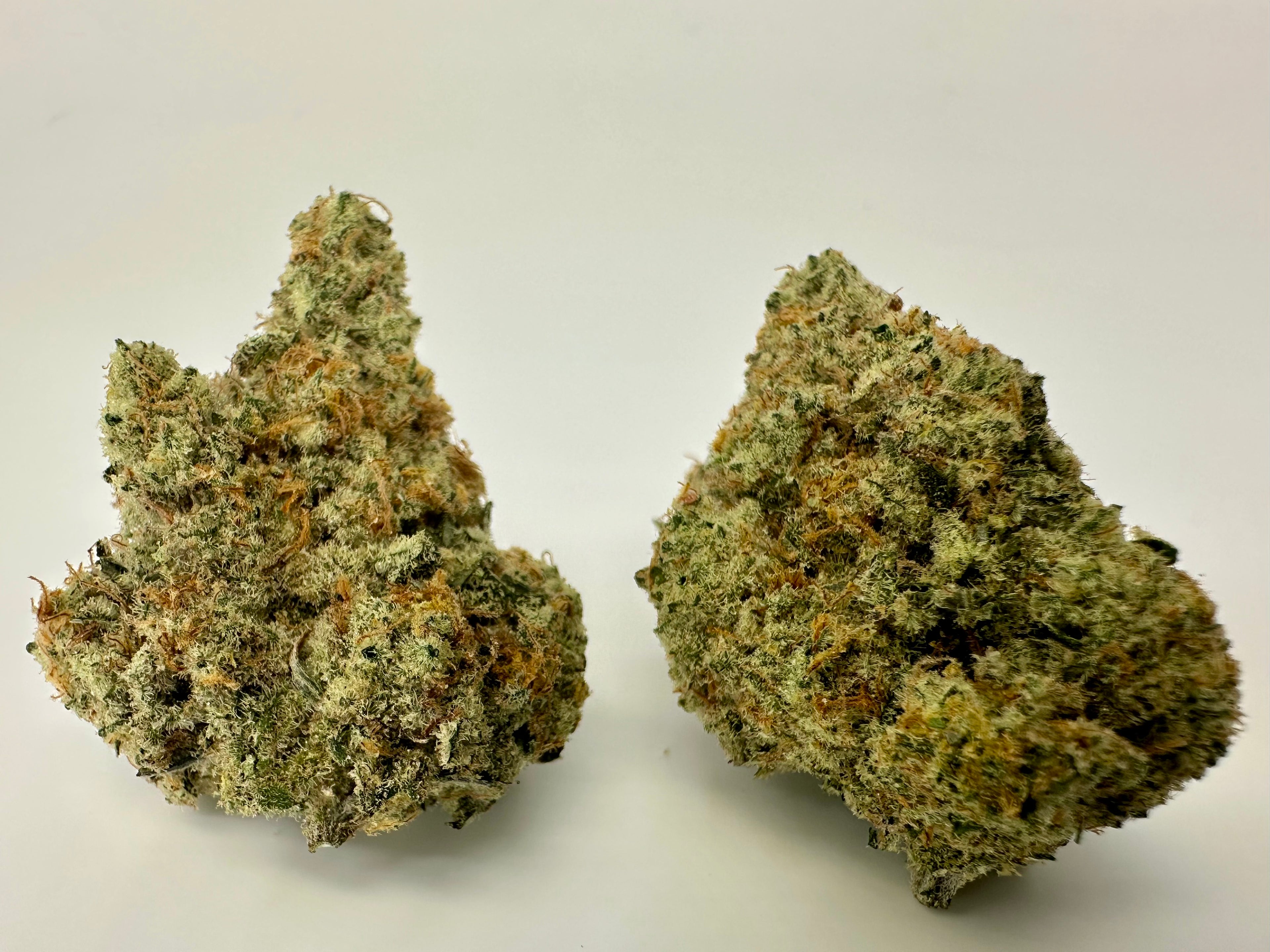 *Indoor* BLUEBERRY MAC