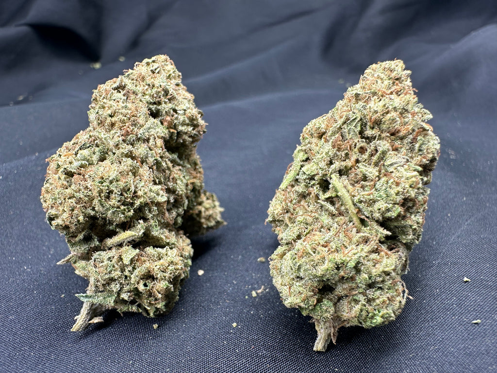 *Indoor* CANDYLAND
