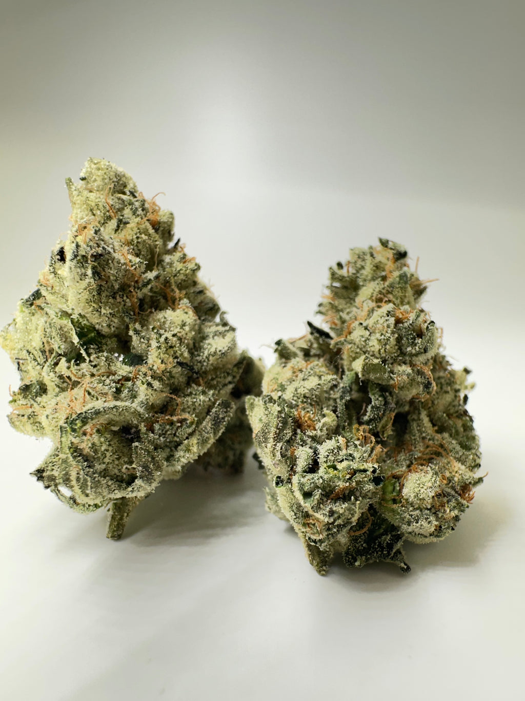 *Exclusive Indoor* OGKB ( indica Dom. hybrid)