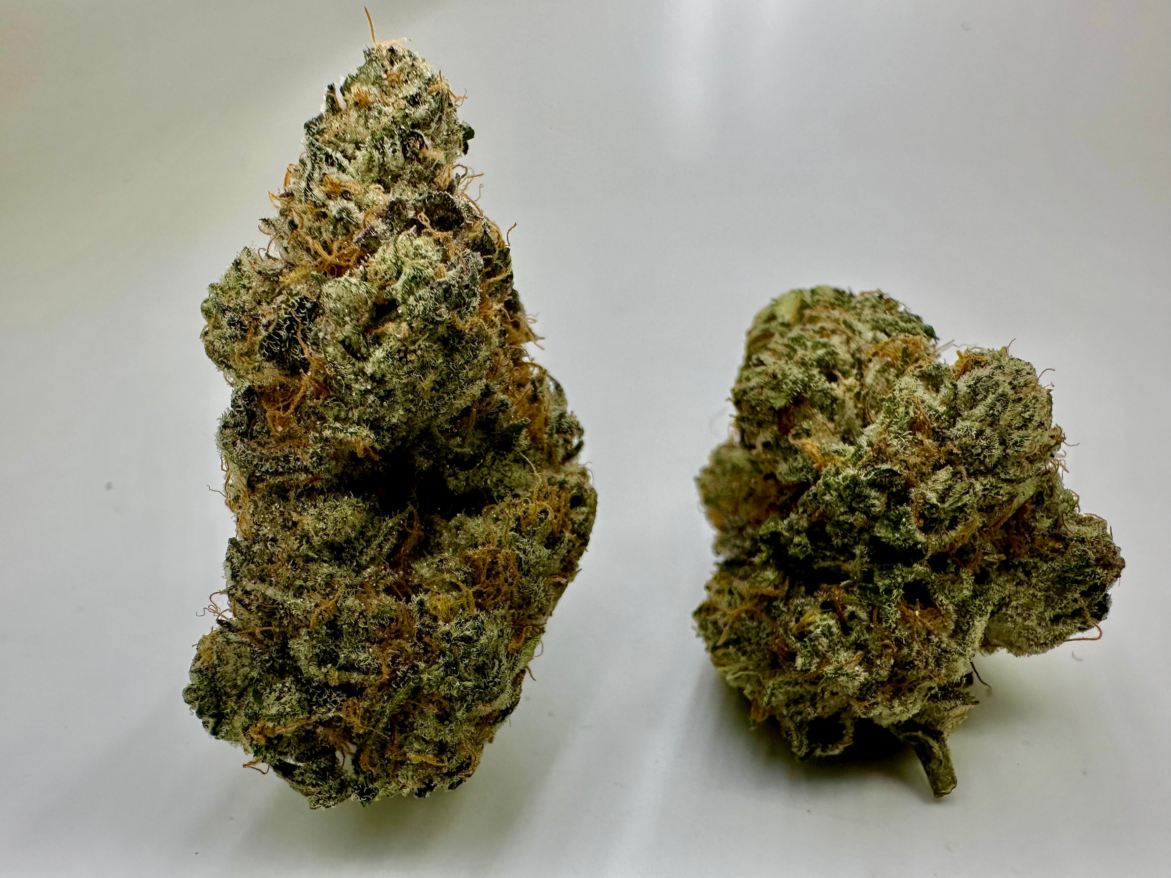 *Exclusive Indoor* Sour Pebbles