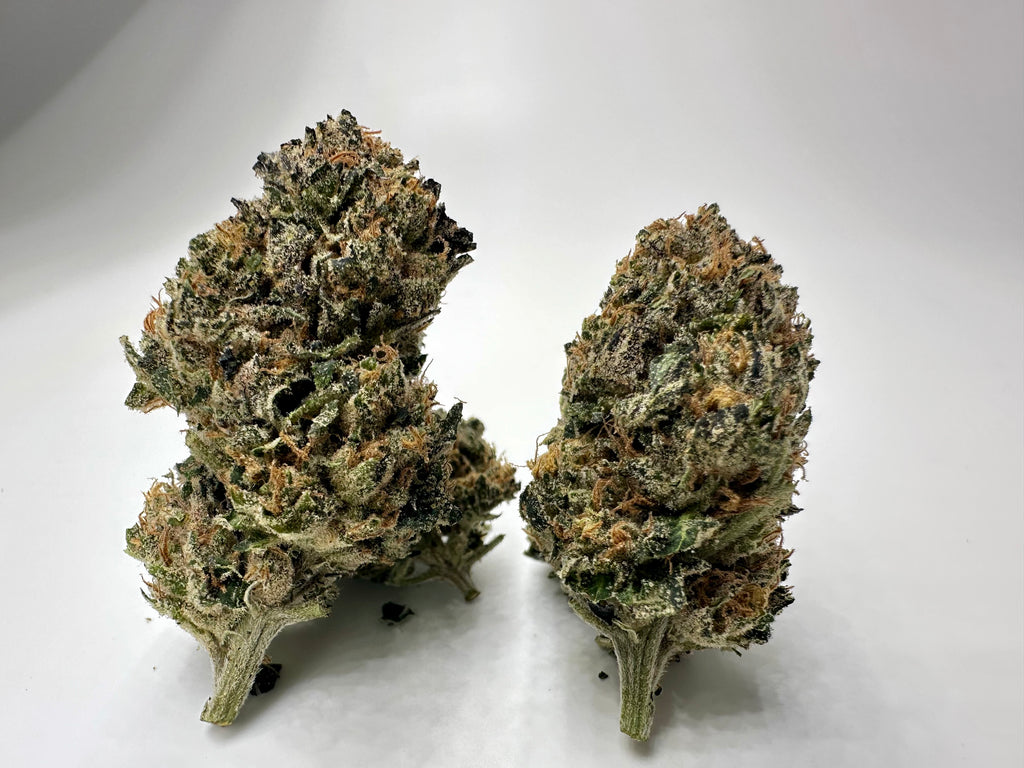 *Indoor* BIRTHDAY CAKE