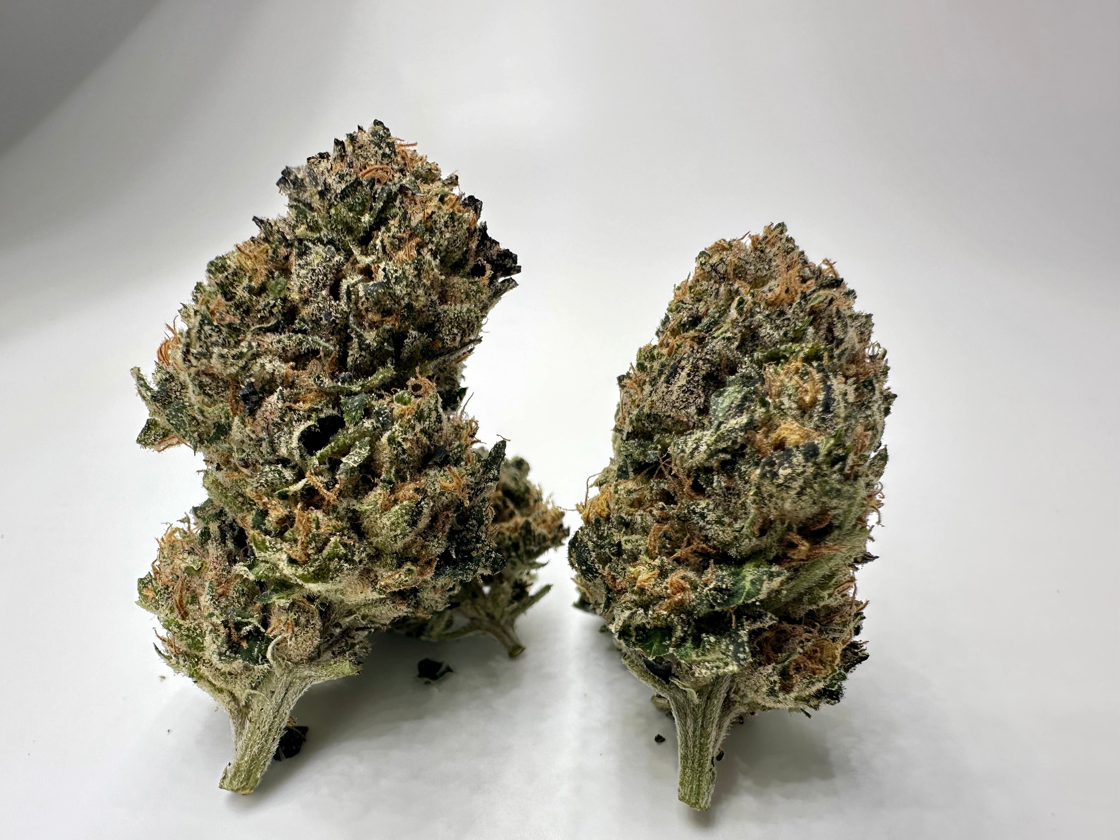 *Indoor* BIRTHDAY CAKE