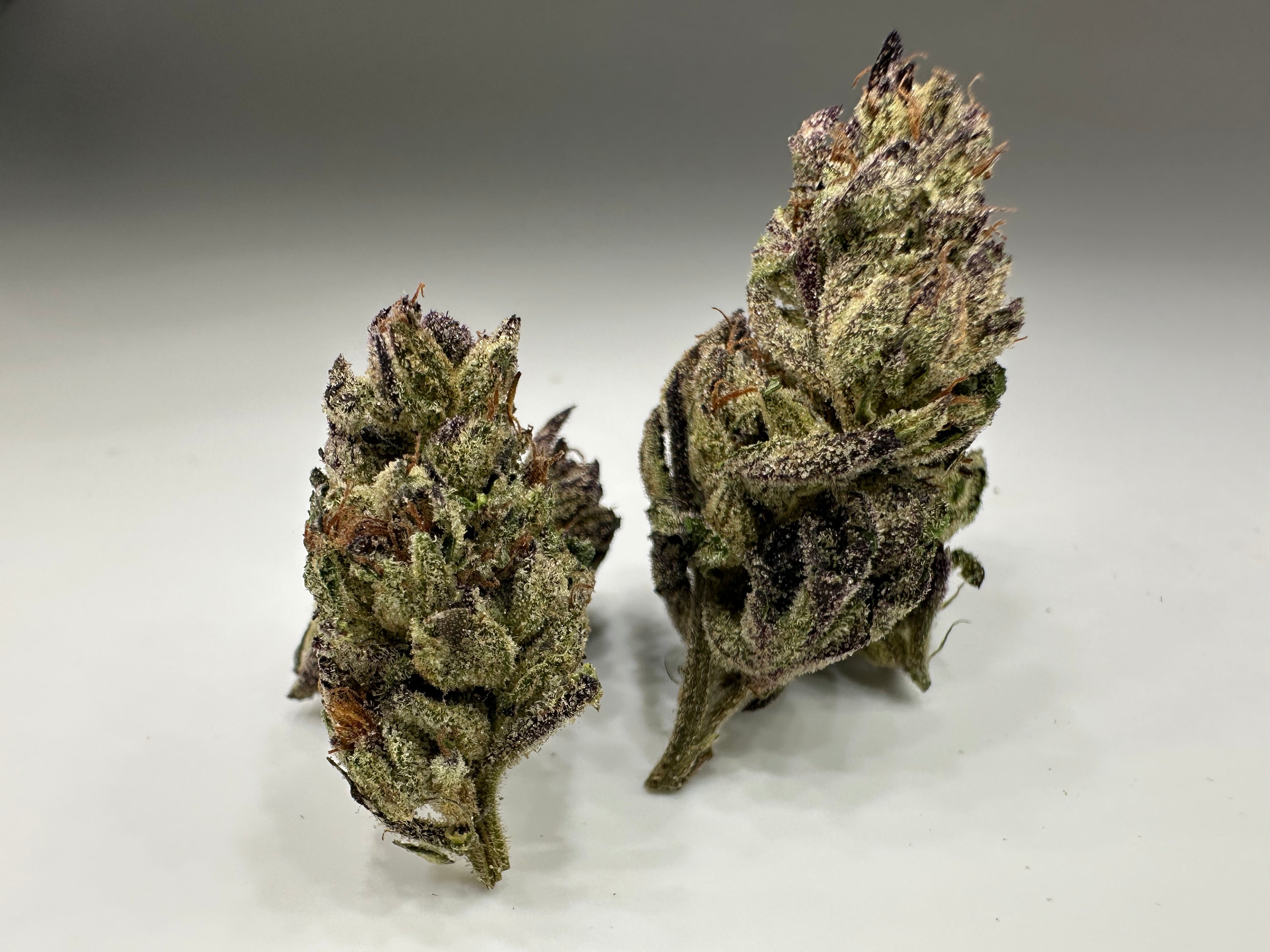 *GreenHouse* ICE CREAM GELATO