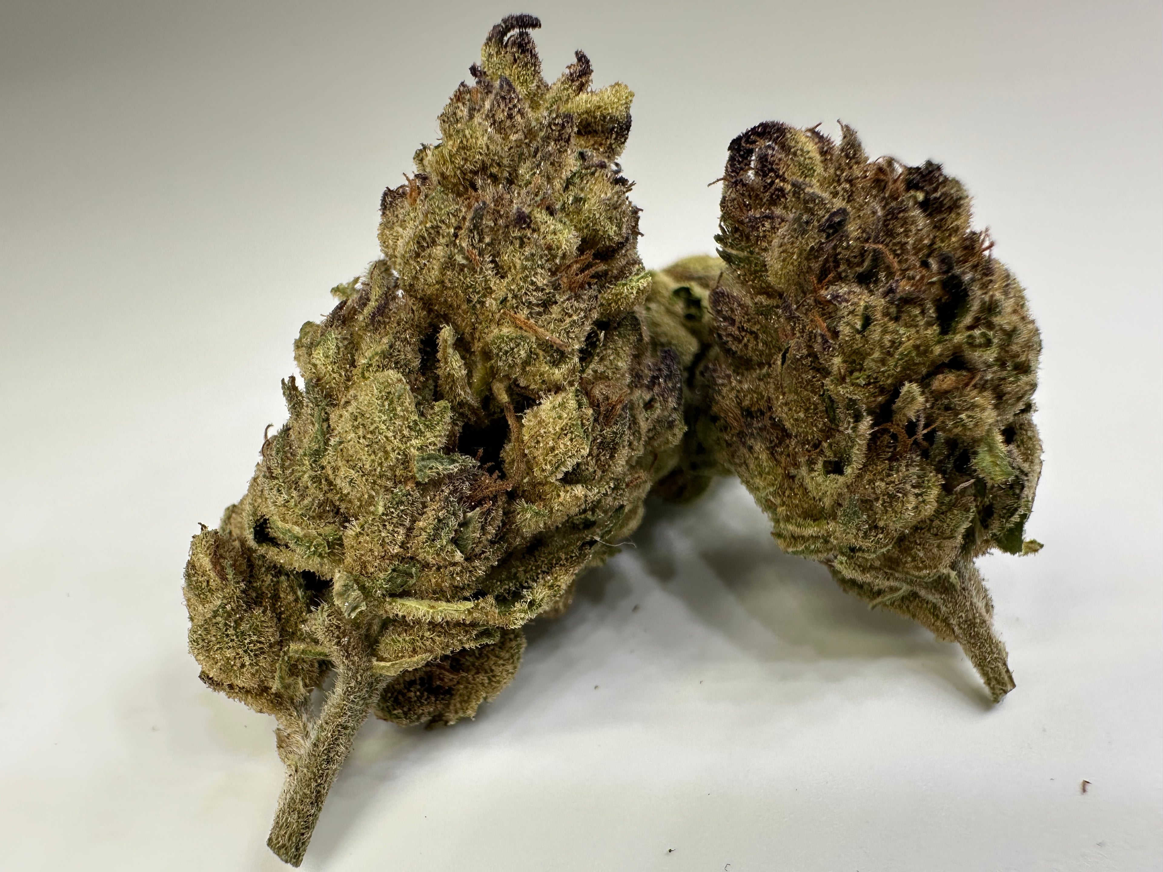 *GREENHOUSE* LEMONCELLO