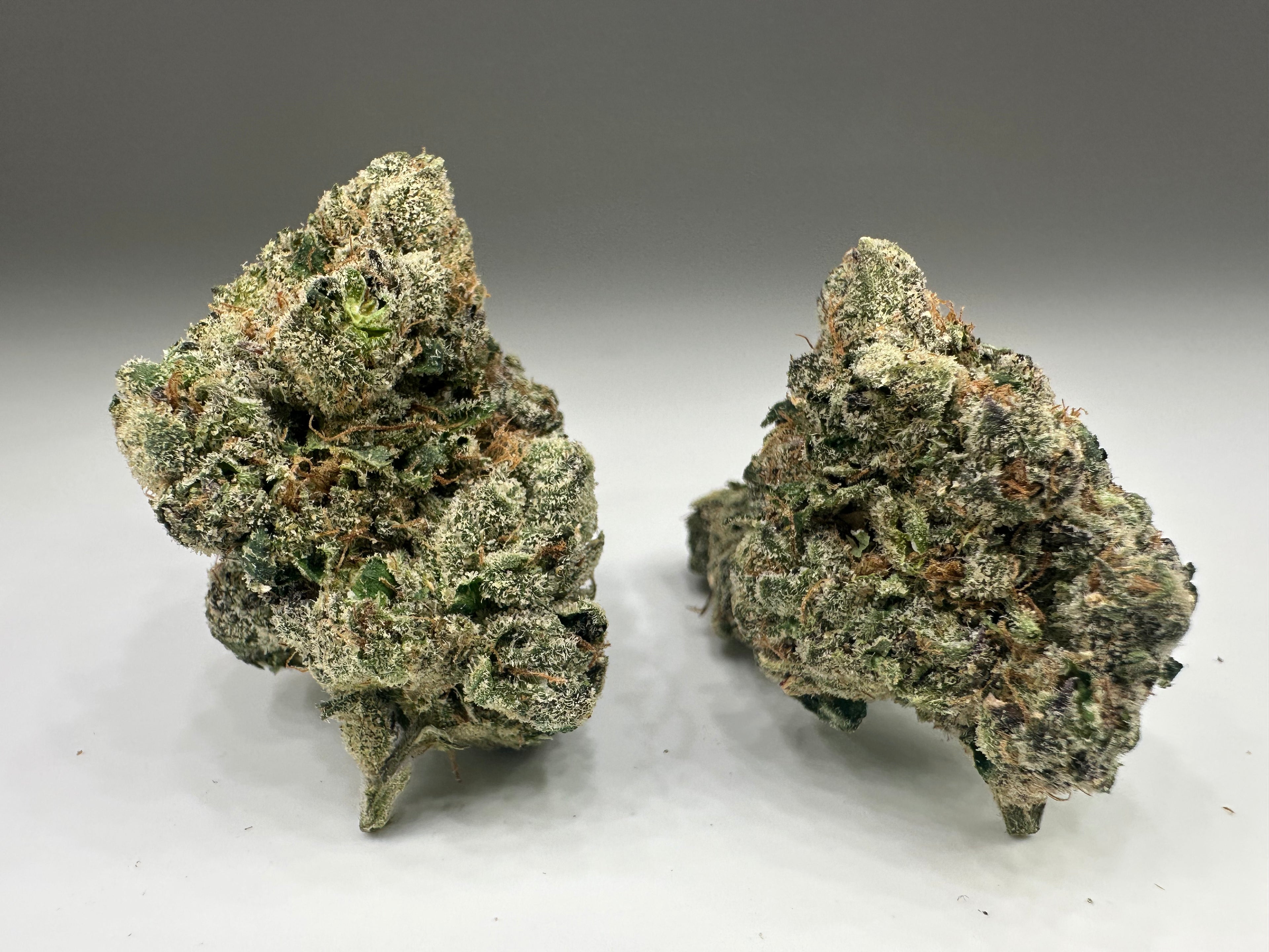 *Indoor* MARSHMALLOW RUNTZ (INDICA)