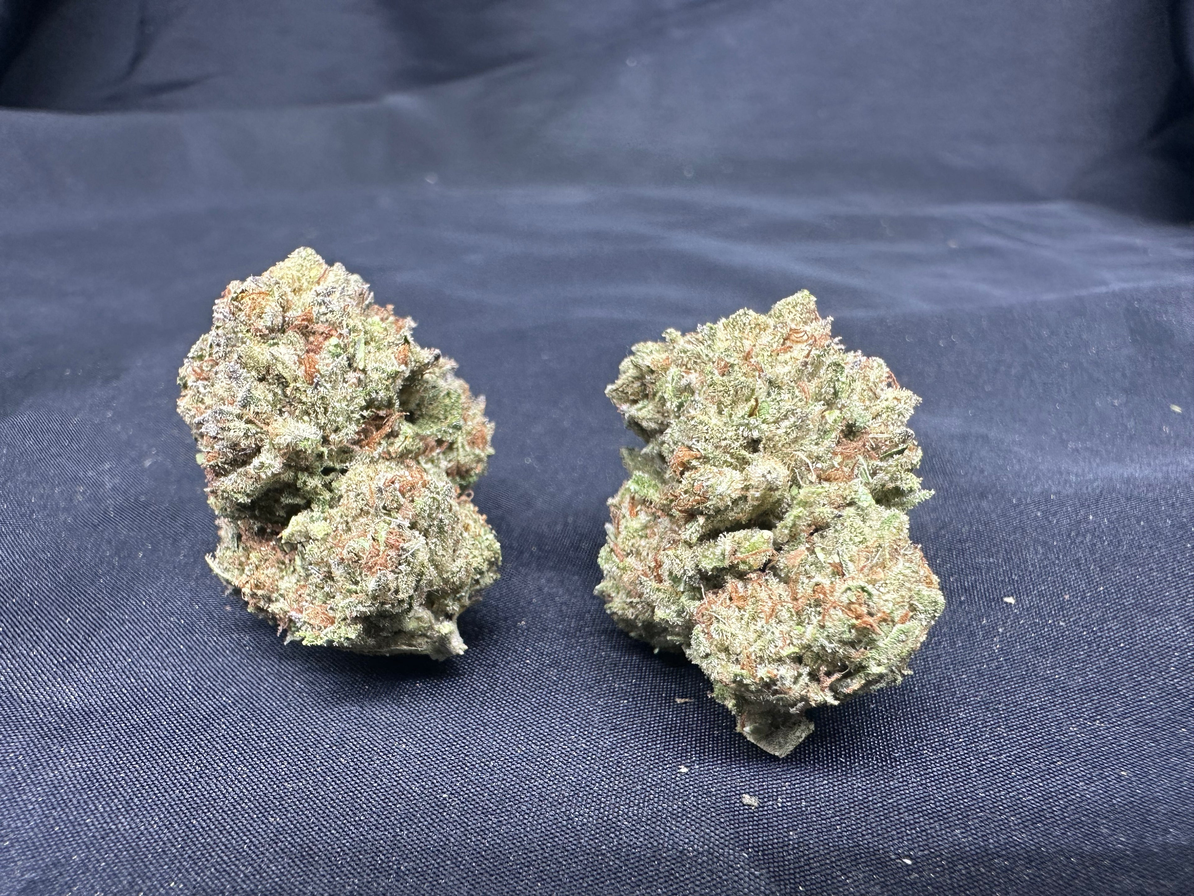 *Indoor* ALIEN OG