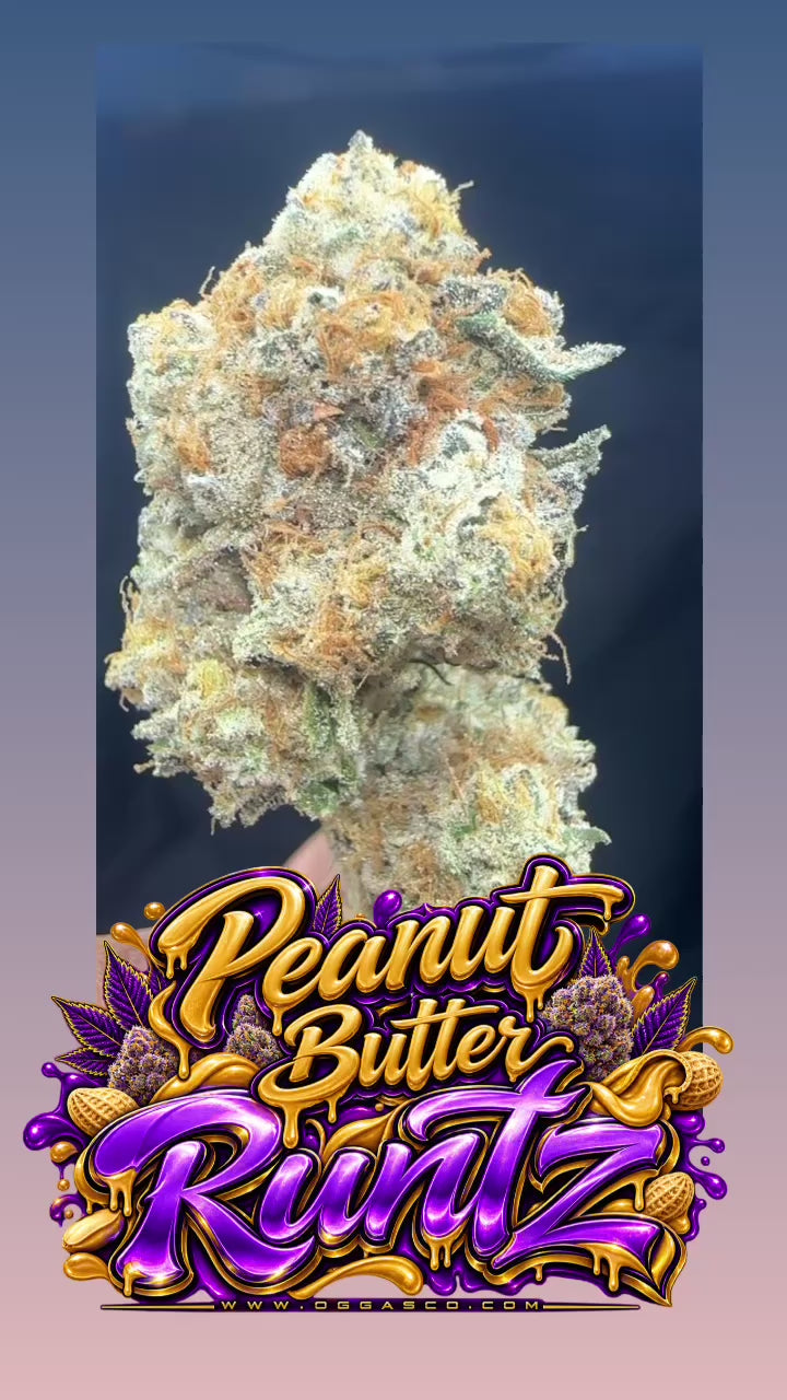 *Exclusive * PEANUT BUTTER RUNTZ