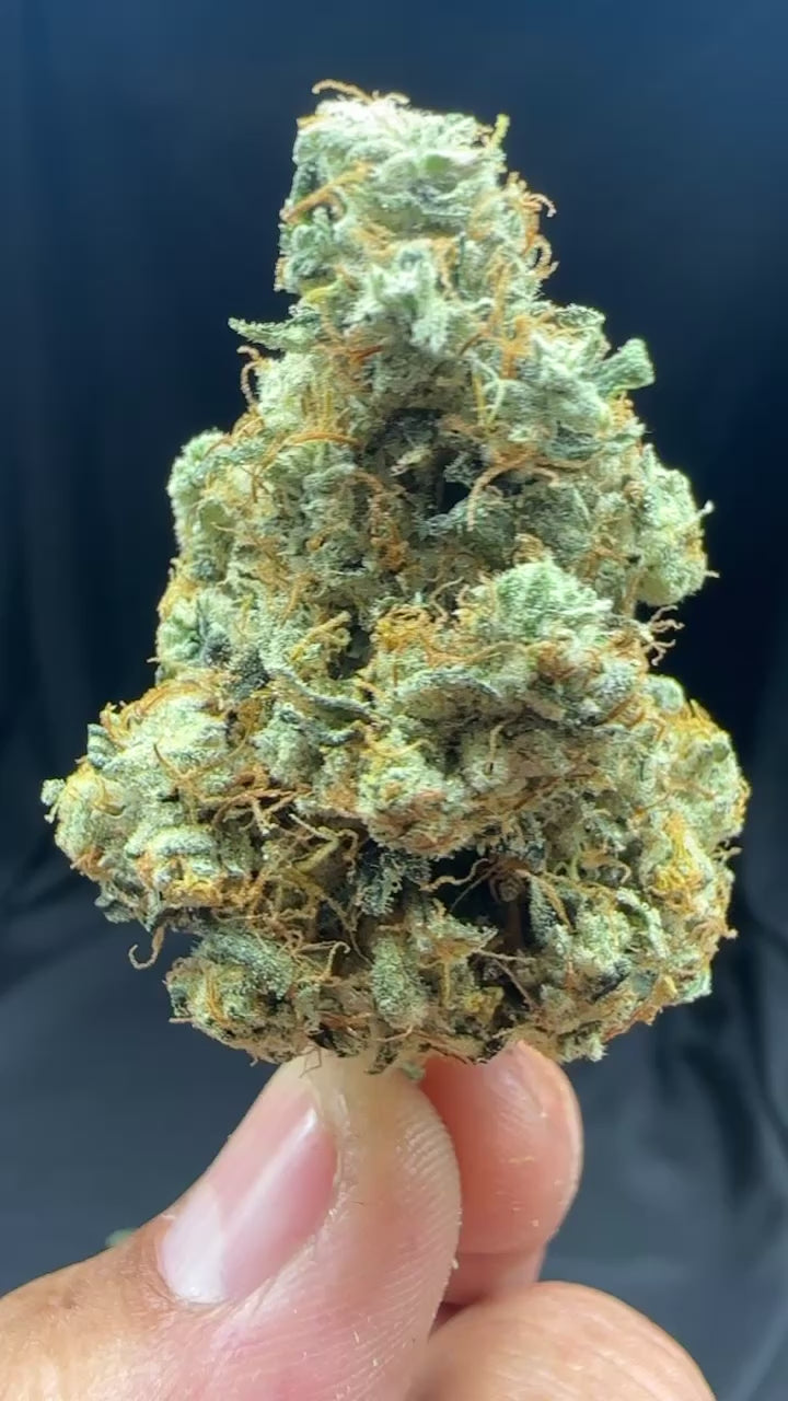 **EXCLUSIVE ** 92 OG AKA NINE DEUCE