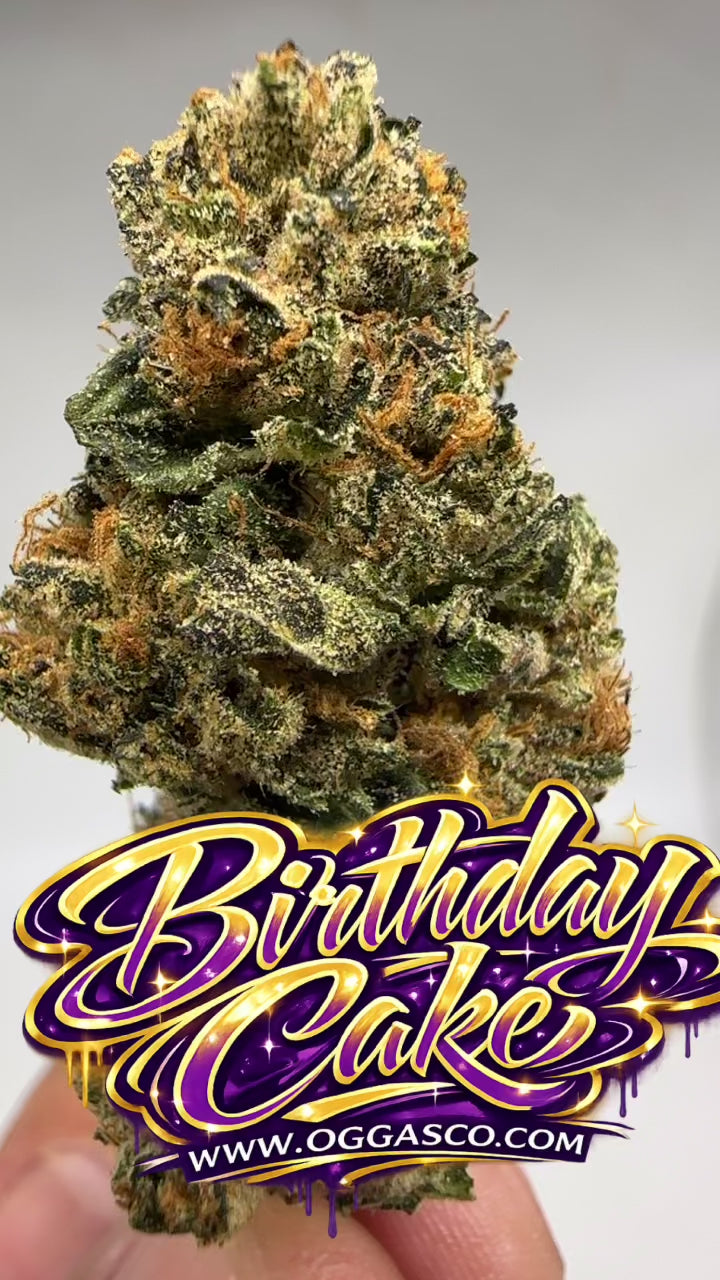 *Indoor* BIRTHDAY CAKE
