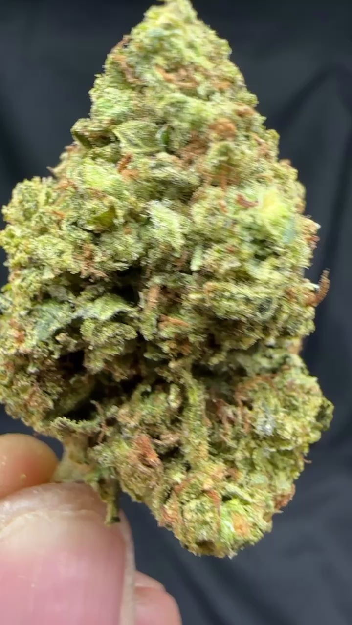 *INDOOR* DIABLO OG