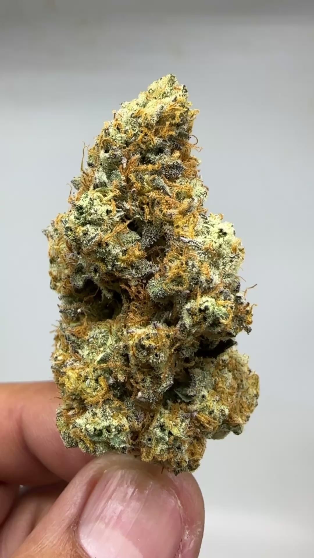 *Exclusive Indoor* DeadHead OG