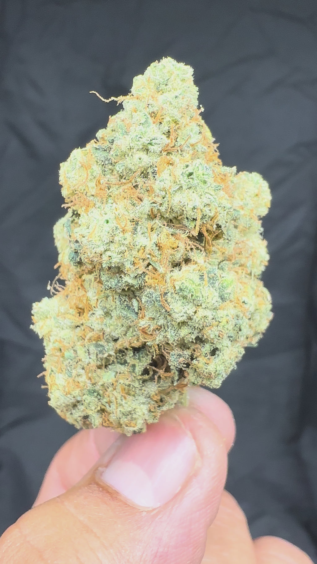 92’ OG …. Aka Nine Duce OG !