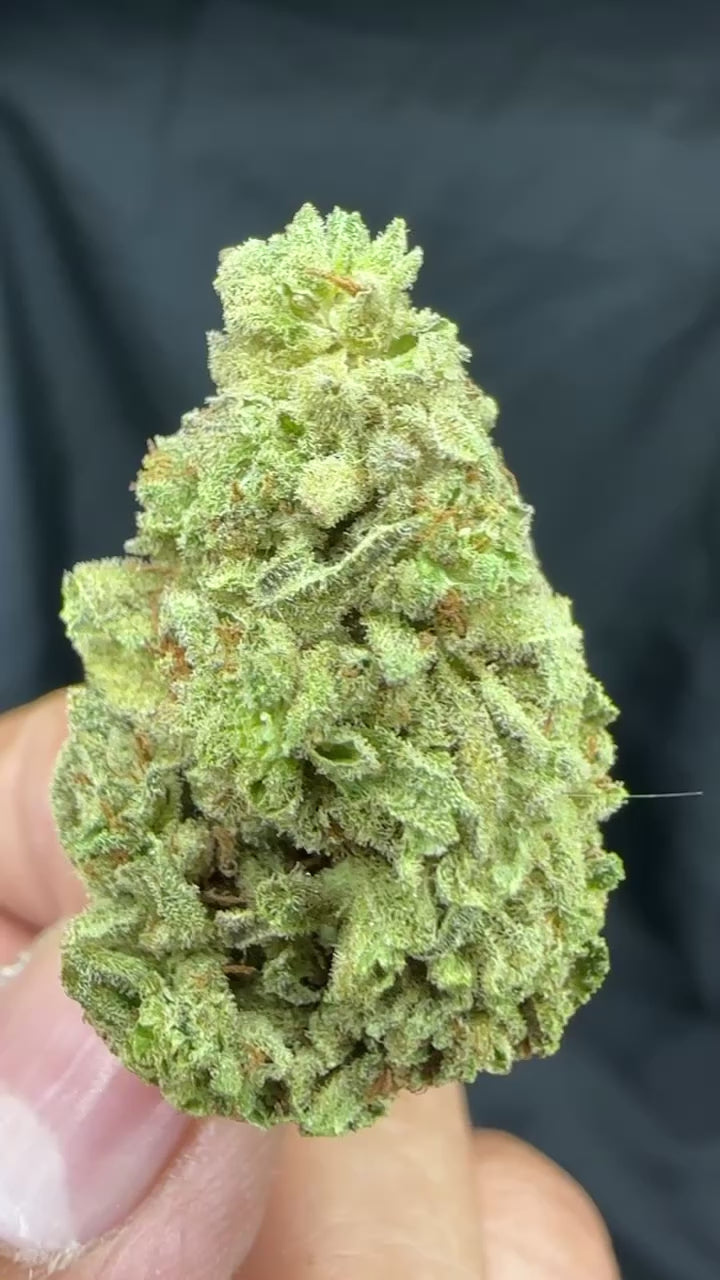 *INDOOR* TAHOE OG