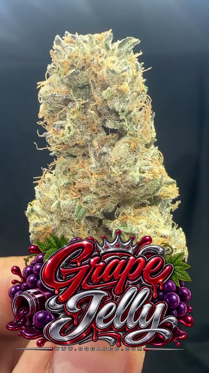 *EXCLUSIVE * GRAPE JELLY